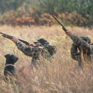 На Львівщині розпочався сезон полювання На Львівщині розпочався сезон полювання
