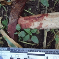 В Хмельницкой области двух селян изрубили топором В Хмельницкой области двух селян изрубили топором