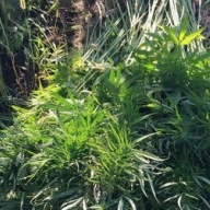 � ��������� ������� ������ �� ������� ������� ������ ��������� �������� 