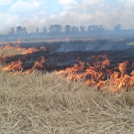 У Радехівському районі за спалювання стерні двоє мешканців отримали штраф У Радехівському районі за спалювання стерні двоє мешканців отримали штраф