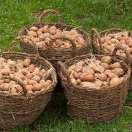 ������� ���� �����: ���� � ������� ����� �������� �� ����, ����� ���������� �� ����� ��� (�����������)