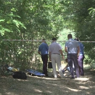 � ����������� ������� ������ �������� ���� ����������� 