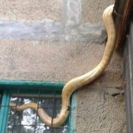 � ������� � ������ ����� ����� �����