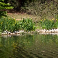 У Сколівському районі в річці Стрий втопився чоловік У Сколівському районі в річці Стрий втопився чоловік
