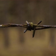 ���������� �'���� ������ ������� ����������� ������