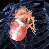 � �������� ������� ��������� ����������-�������� ������������� ��������