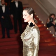 Марион Котийяр прокомментировала роман с Брэдом Питтом Марион Котийяр прокомментировала роман с Брэдом Питтом