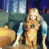 Подруга Дженнифер Энистон назвала причины, заставившие Анджелину Джоли подать на развод Подруга Дженнифер Энистон назвала причины, заставившие Анджелину Джоли подать на развод