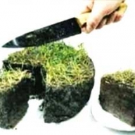 ��������� ������ ����������� � ����������� ��������� � ����������� 