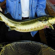 ���������� �� ������������� ������� ����������� ���������� ���������� ������ ��������� / �������� ����� ������ ����������� �������������� �������