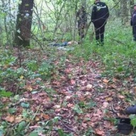 Во львовском лесу мертвое тело мужчины пролежало месяц Во львовском лесу мертвое тело мужчины пролежало месяц