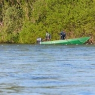 � ������� ����� � 15-20 ��� �������� ������ �� ��������� ������ �����������