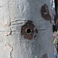 ����������� ��������� ������� ���� �������� � ���������� �� ������������