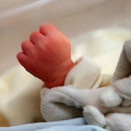 ������� ��������� �����-���������, ���������� �������� ������������ 14-������ �������