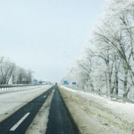 Десятки протестующих заблокировали трассу Киев–Чоп Десятки протестующих заблокировали трассу Киев–Чоп
