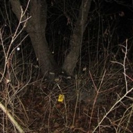 � ����������� ������� ������ ���� ���������� � �������� ���� � �����