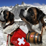 � ������� ������� ��������� ���� ����� �����-����������