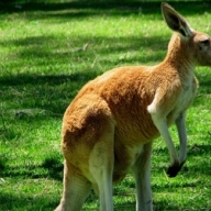 ������ ����������, ��� ����� ������� �� ����� ���� � ����