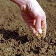 � ������ ����� ������������ �� ��� ������ ����������� ������ ��������