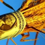 Дырявые закрома: куда пропадает зерно из Госрезерва Украины Дырявые закрома: куда пропадает зерно из Госрезерва Украины