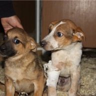 � ������� �������� �������� �����