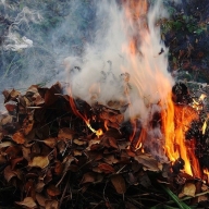 �� �� �� ���������� �� ����������� ����� �� ����� ������������ �������� ���� ��� ������